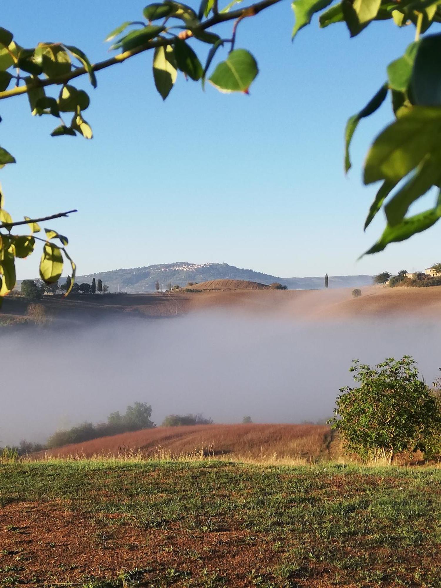 Podere Sant'Antonio Buonconvento Bagian luar foto